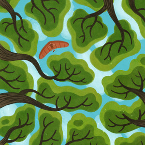 Canopy