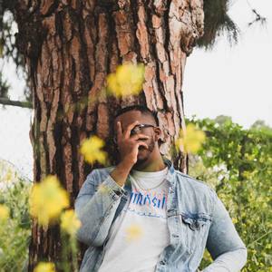 Around The World (Explicit)