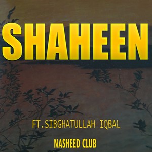 Shaheen