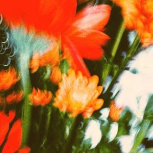 feel you (interlude)