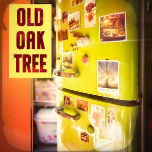 Old Oak Tree