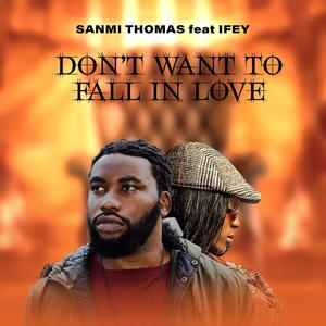 Don't want to fall in love (feat. Ifey)