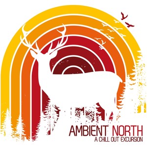 Ambient North(A Chill Out Excursion)