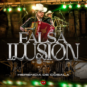 Falsa Ilusión