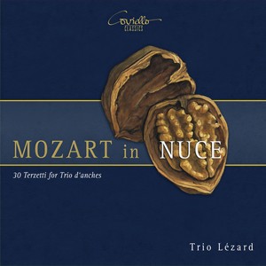 Terzetti, KV 439b, Ter. 1 to 7 - I. Allegro(After the Manuscript from the Library of the Counts of Eng, Seisenburg - Recast for Trio d'anches) (Cast Version)