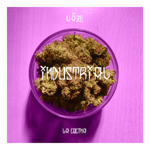 Conscient(feat. Black Lyon) (Explicit)