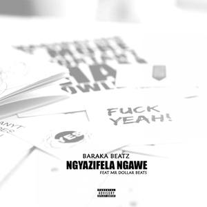 Ngyazifela Ngawe (feat. Mr Dollar Beats) (Explicit)