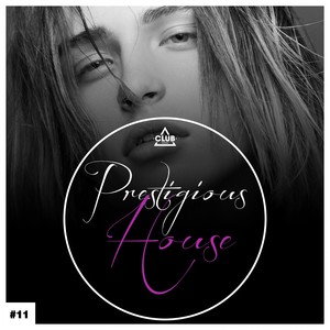 Prestigious House, Vol. 11