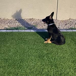 Find a Way Every Where (Explicit)