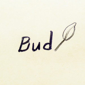 Bud