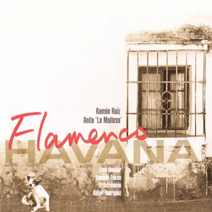 Flamenco Havana