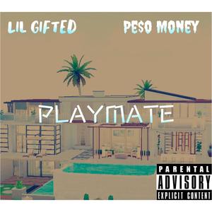 Playmate (feat. Peso Money) [Explicit]