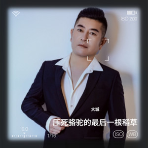压死骆驼的最后一根稻草