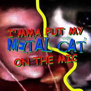 I'mma Put My METAL CAT On The Mic (Explicit)