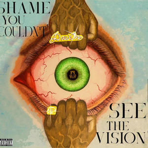 SHAME YOU COULDN'T SEE THE VISION (Explicit)