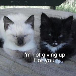 purposeless (Explicit)