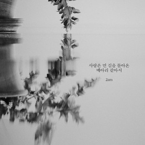 사랑은 먼 길을 돌아온 메아리 같아서 (Echoes of Love's Journey)