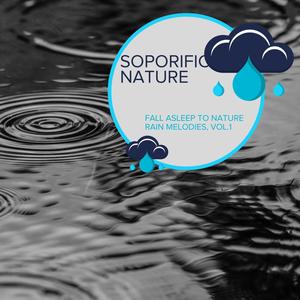 Soporific Nature - Fall Asleep to Nature Rain Melodies, Vol.1