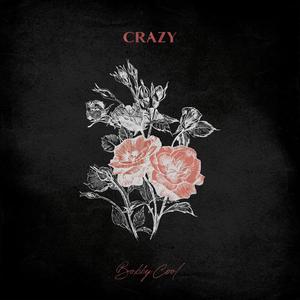 Crazy(feat. Jaelee Roberts)