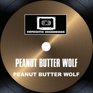 Pulse (Clean Mix|Explicit)