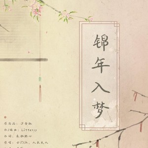 锦年入梦
