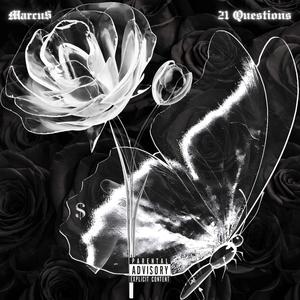 21 Questions (Explicit)