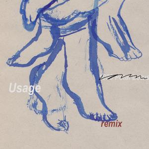 Usage (Remix|Explicit)