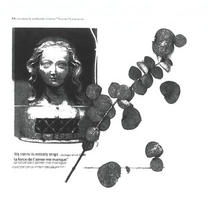 Jusqu'à ce que la force de t'aimer me manque