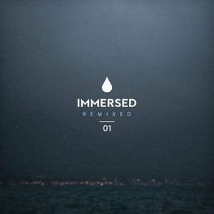 Serein (Into The Ether's Sunset Extended Mix)
