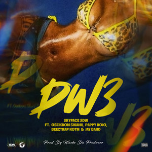 DW3 (Explicit)