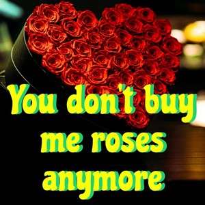 You don't buy me roses anymore (Radio Edit)