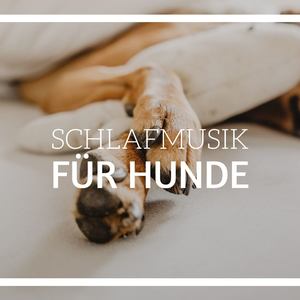 Schlafmusik für Hunde: Schlafmusik Delta Wellen