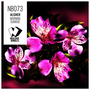 Morning Sunrise (Original Mix)