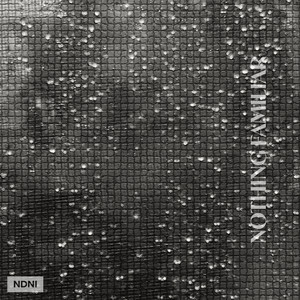 Nothing Familiar (Explicit)