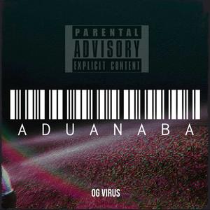 AduanaBA (Explicit)