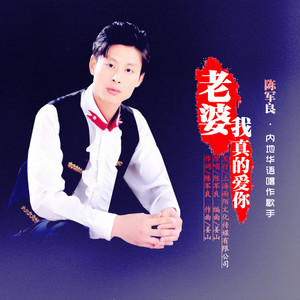 老婆我真的爱你