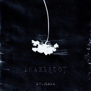 Snakeroot