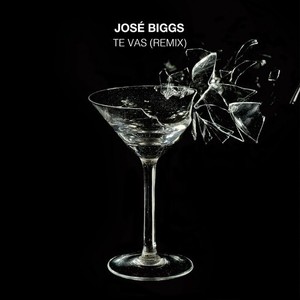 Te Vas (Remix)