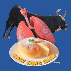 cow lung cake