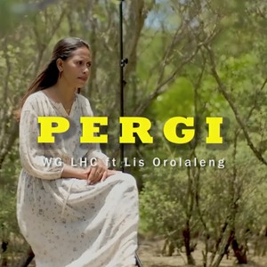 P E R G I