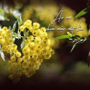 Áo Em Chưa Mặc Một Lần