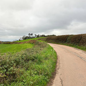 Not breaking, just raging