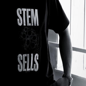 Superdrive (feat. USanele)