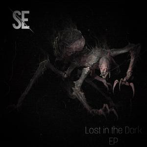 Lost in the Dark