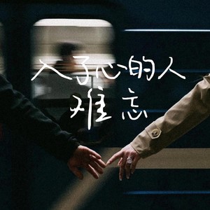 入了心的人难忘-卡带森林