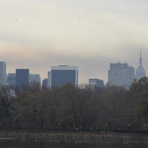 Colours of Central Park