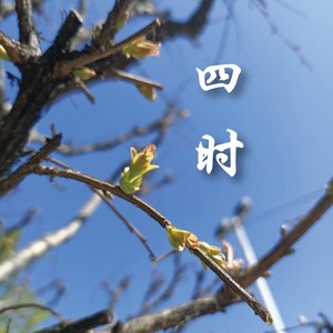 晨光熹微 (Demo)