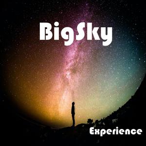 Experience