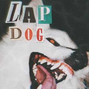 Lap Dog (feat. Skitzobeats) [Explicit]