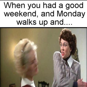 Monday To Sunday (Explicit)